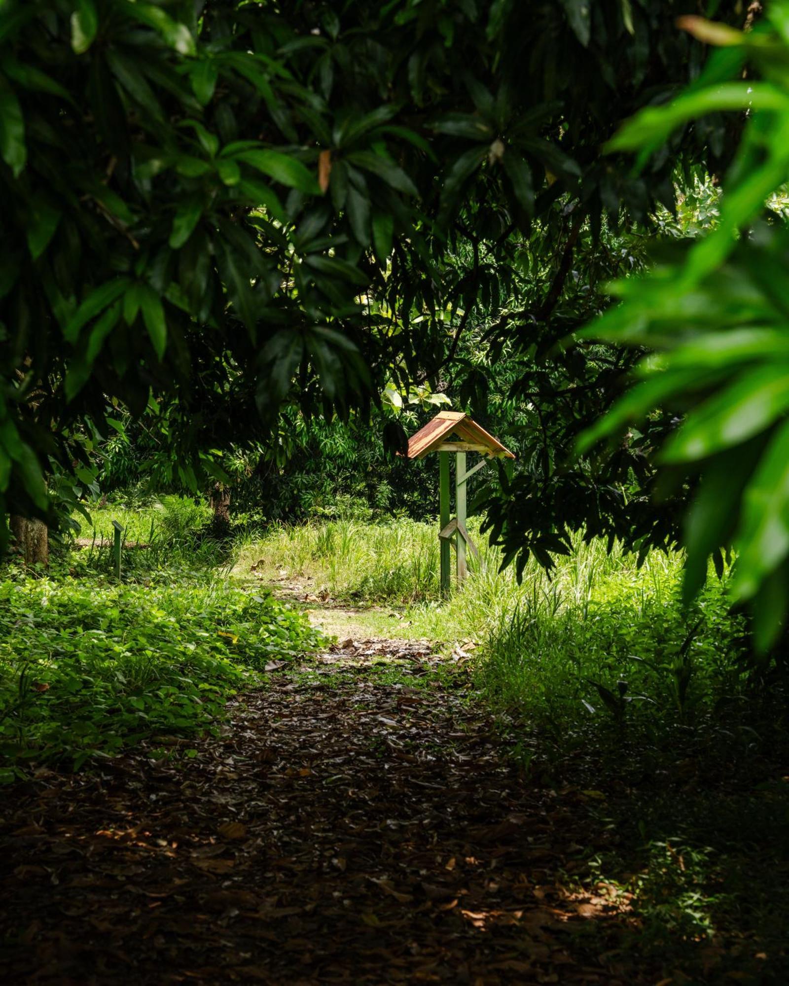 Hacienda Baru Villa Dominical Kültér fotó